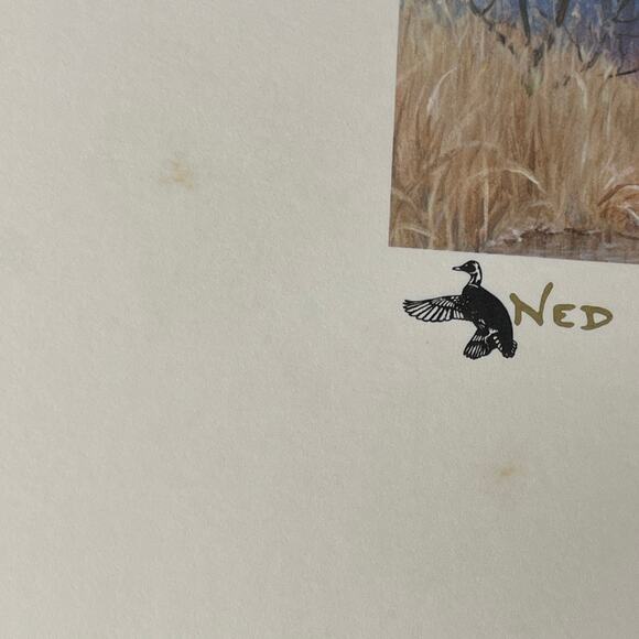 Pennsylvania Waterfowl Management Stamp Print Mallards 1985 #2235/7380 - Picture 4 of 5